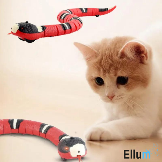 SmartSnake - Het favoriete speeltje van elke kat