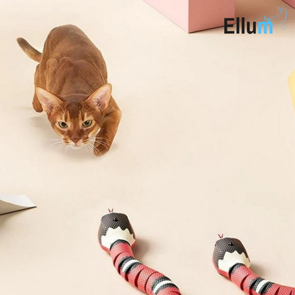 SmartSnake - Het favoriete speeltje van elke kat