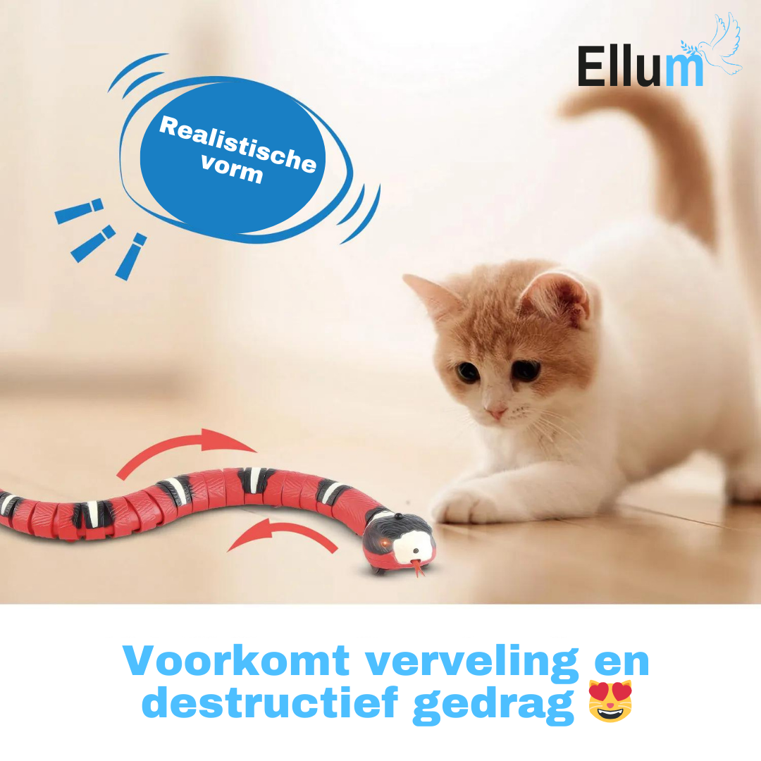 SmartSnake - Het favoriete speeltje van elke kat