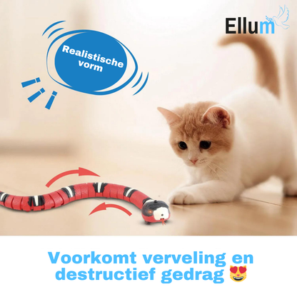 SmartSnake - Het favoriete speeltje van elke kat